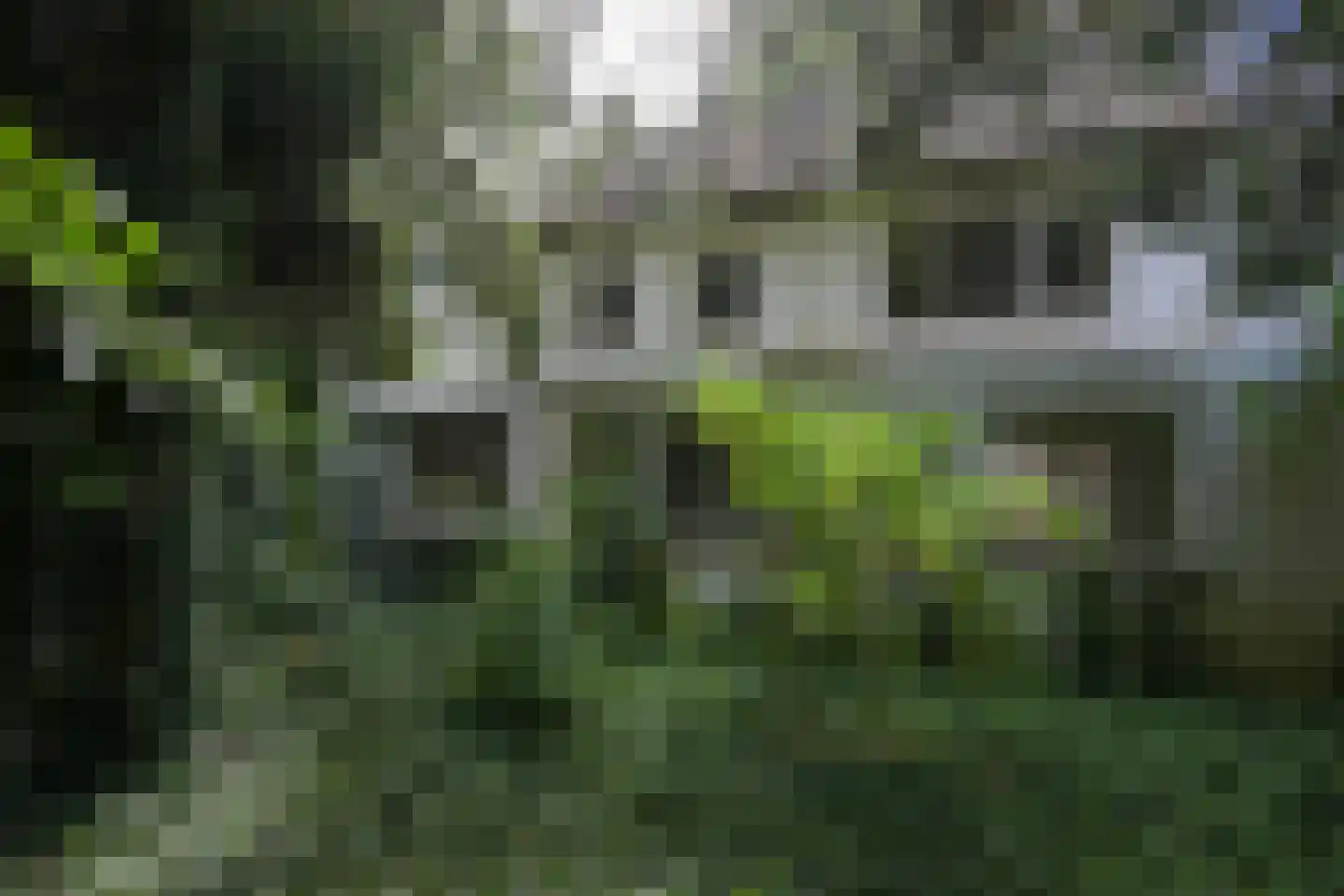 Hekbergstraat 9 Hoensbroek thumbnail 15