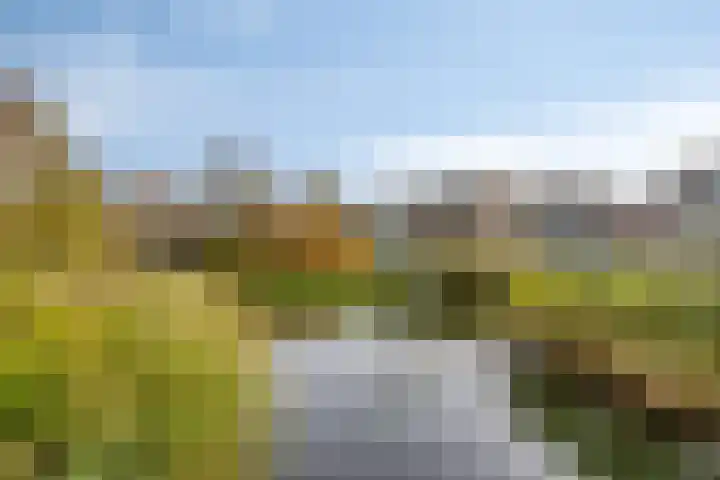 Hekbootkade 12 Zoetermeer thumbnail 27