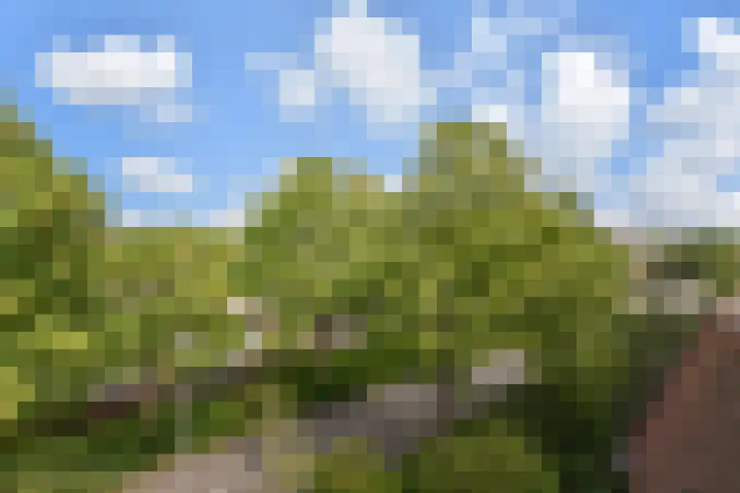 Hekbootkade 36 Zoetermeer thumbnail 32
