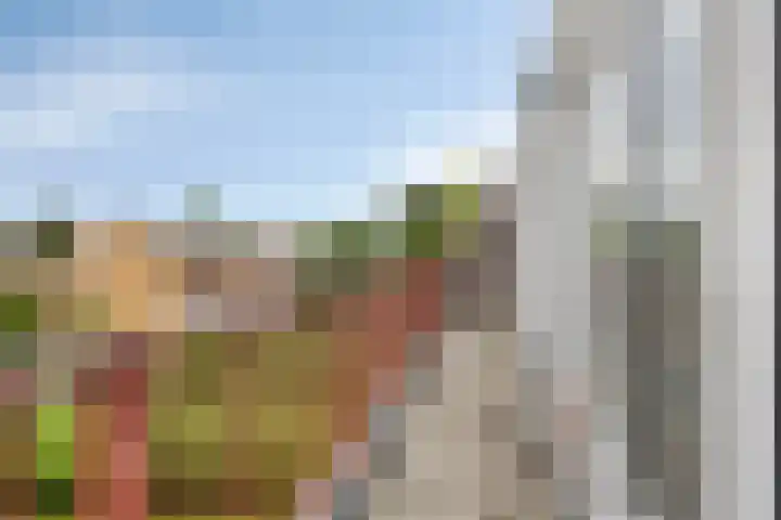 Hekbootstraat 13 D Rotterdam thumbnail 17