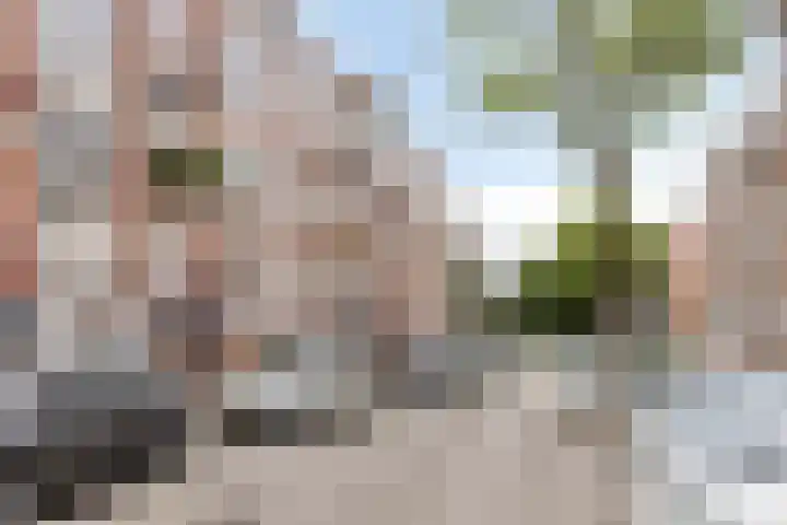 Hekbootstraat 13 D Rotterdam thumbnail 5