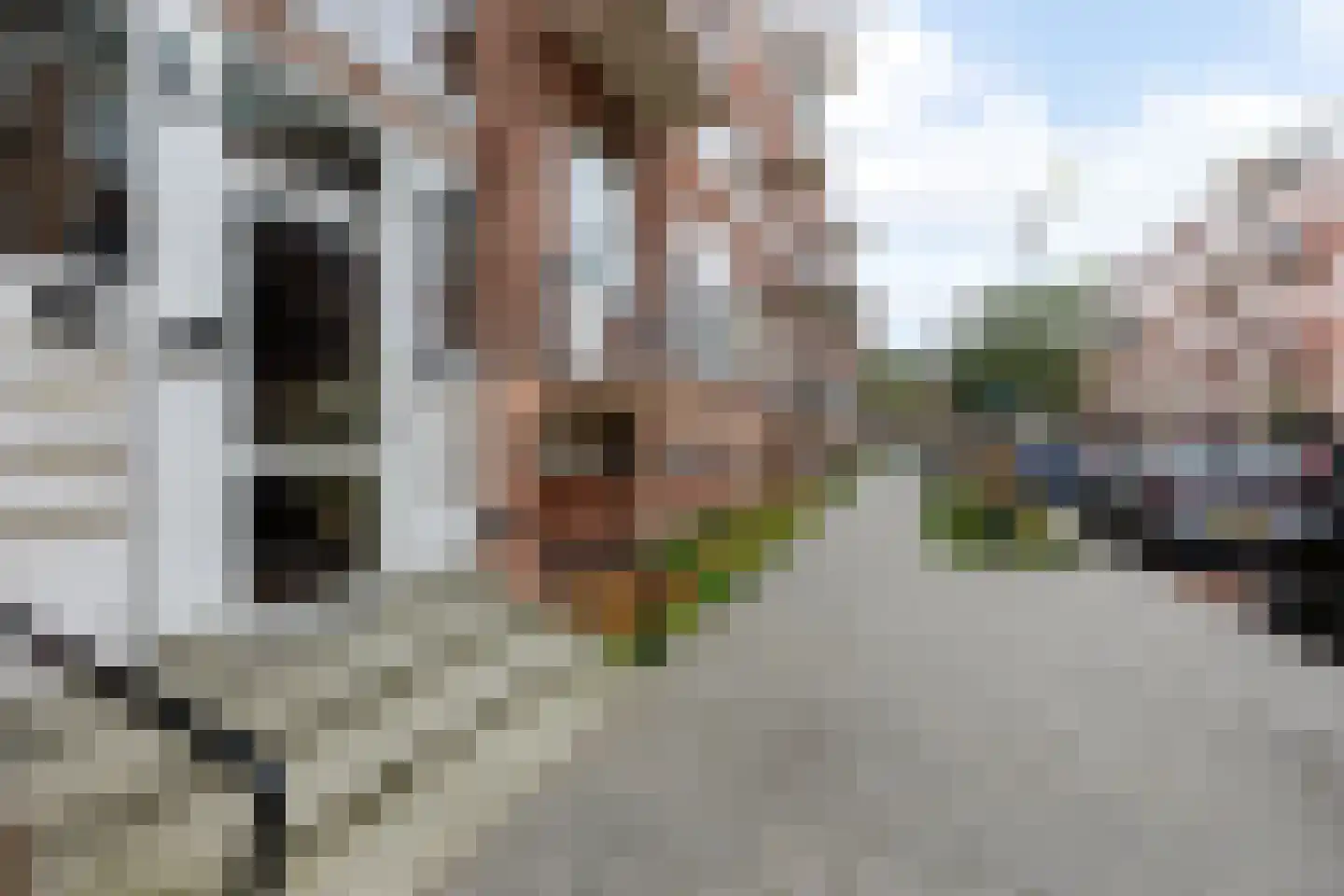 Hekbootstraat 14 C Rotterdam thumbnail 33