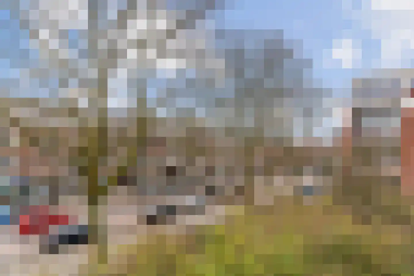 Hekbootstraat 25 C Rotterdam thumbnail 26