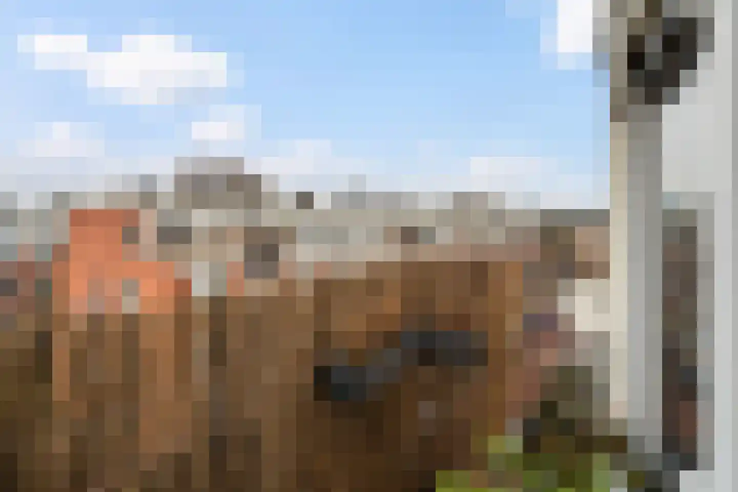 Hekbootstraat 7 C Rotterdam thumbnail 24