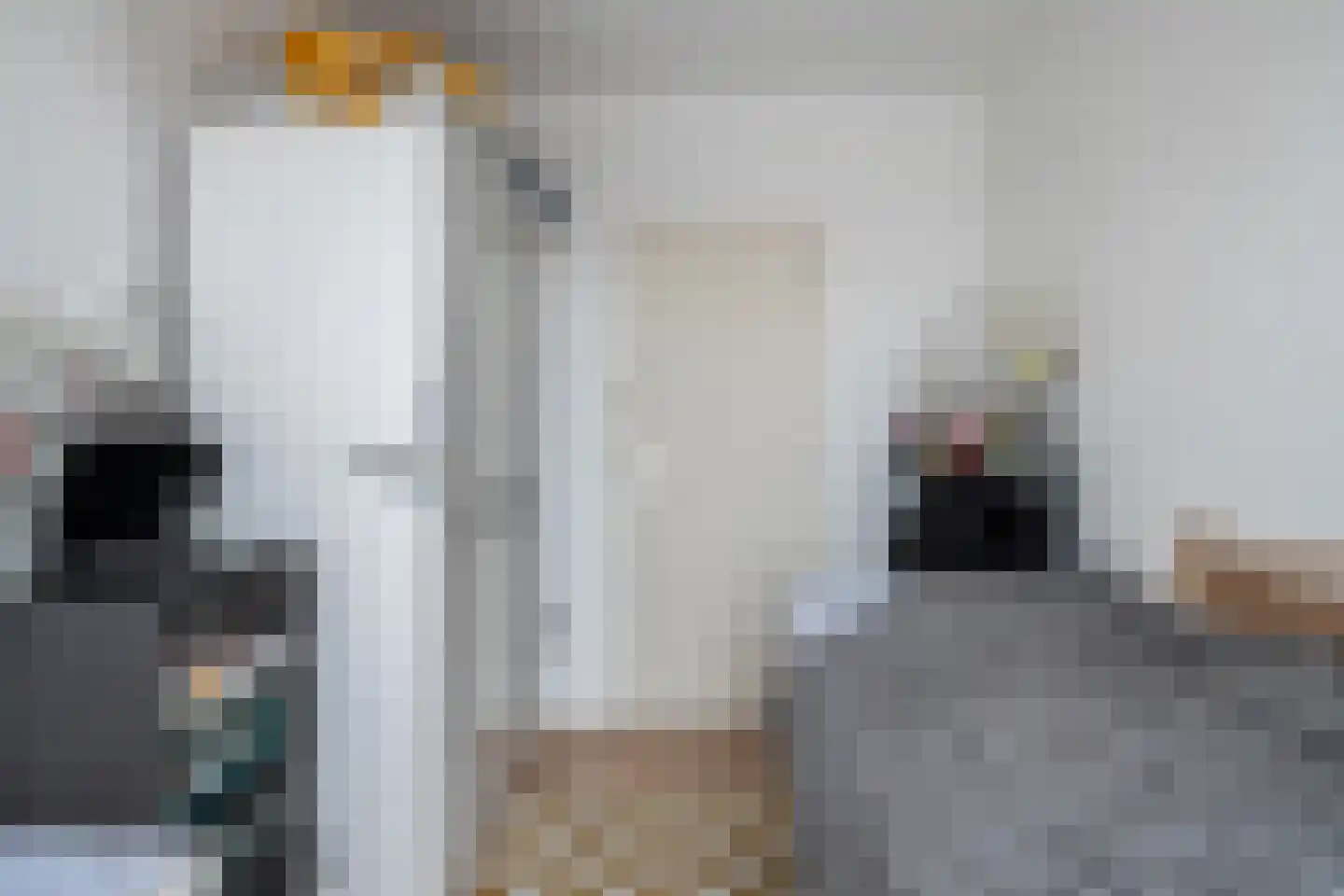 Hekbootstraat 7 C Rotterdam thumbnail 32
