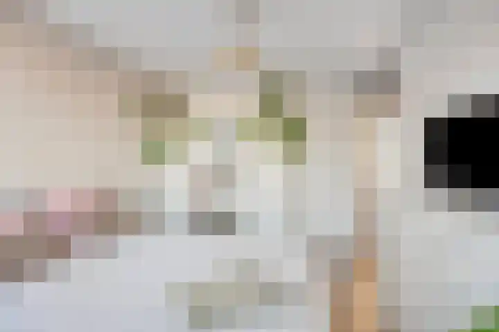 Hekelen 33 Oudewater thumbnail 18