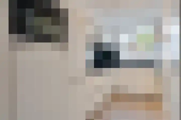 Hekelingenstraat 3 Zoetermeer thumbnail 19