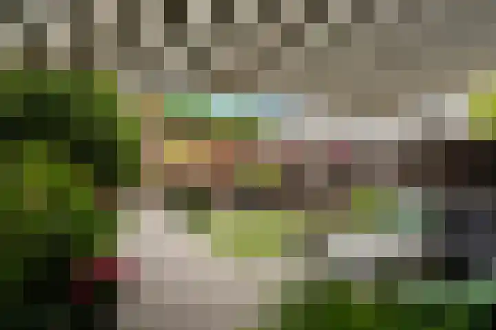 Hekelingenstraat 3 Zoetermeer thumbnail 21