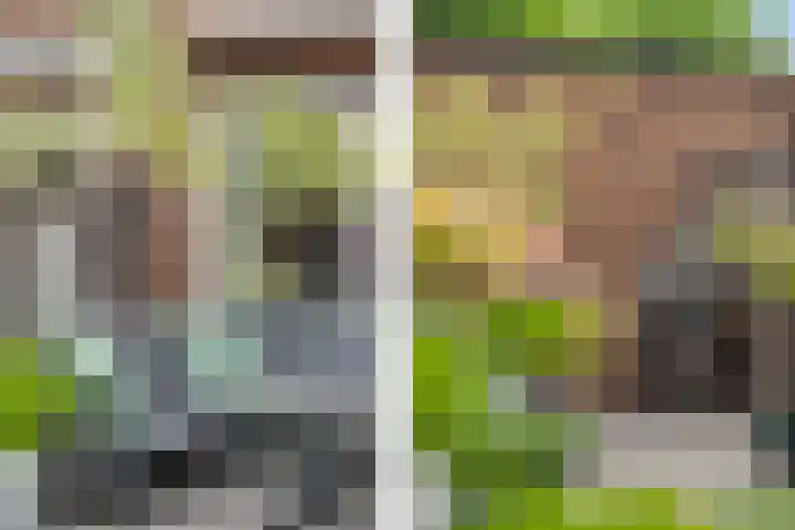 Hekelingenstraat 3 Zoetermeer thumbnail 22