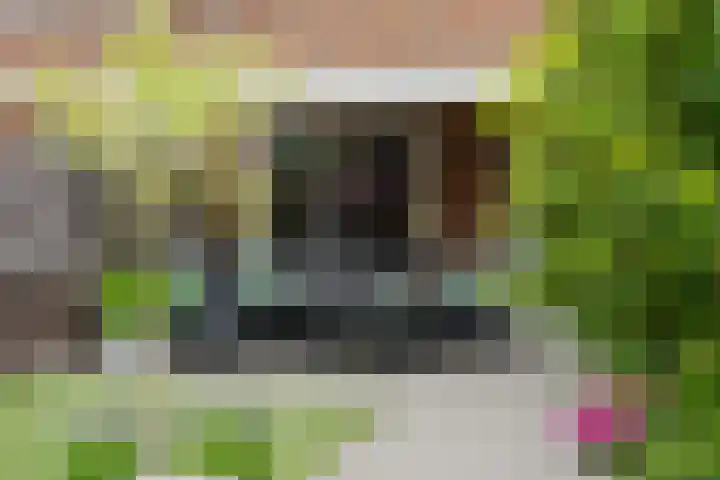 Hekelingenstraat 3 Zoetermeer thumbnail 25