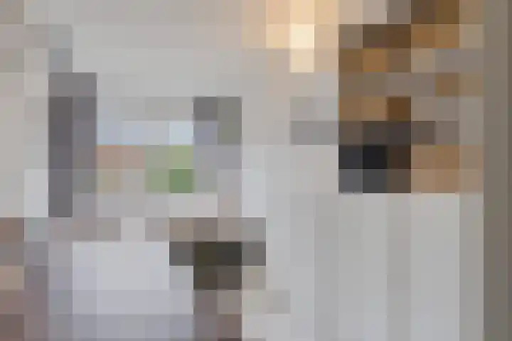 Hekelingenstraat 3 Zoetermeer thumbnail 30