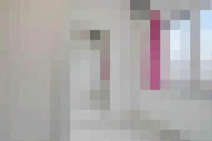 Hekelingenstraat 3 Zoetermeer thumbnail 39