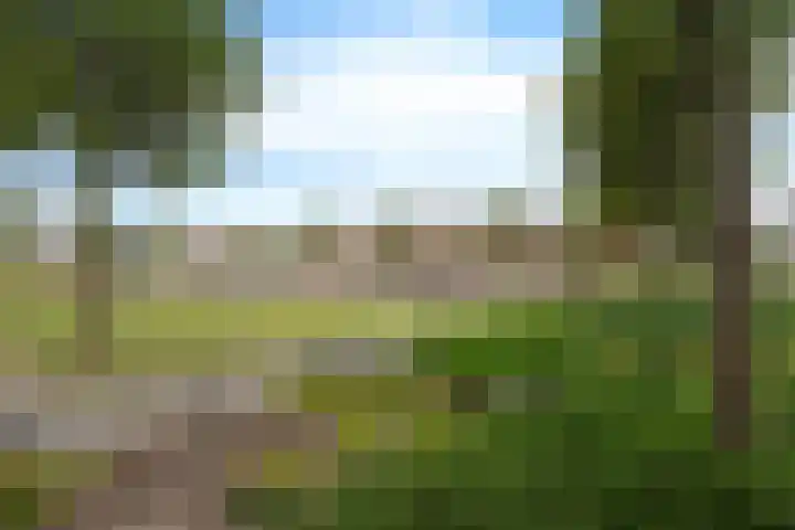 Hekelingenstraat 3 Zoetermeer thumbnail 45