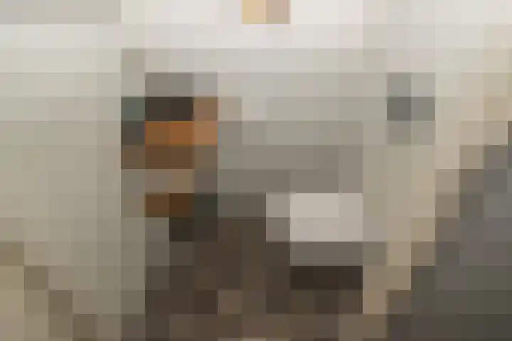 Hekelingenstraat 32 Zoetermeer thumbnail 10