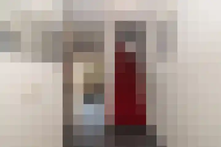 Hekelingenstraat 32 Zoetermeer thumbnail 11