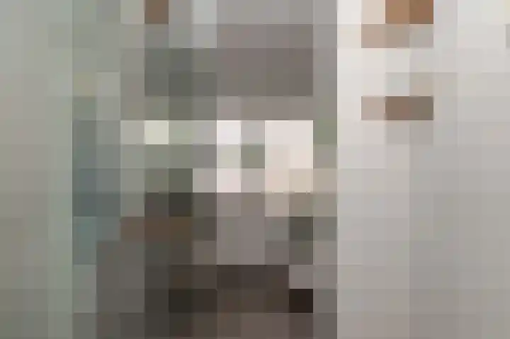 Hekelingenstraat 32 Zoetermeer thumbnail 14