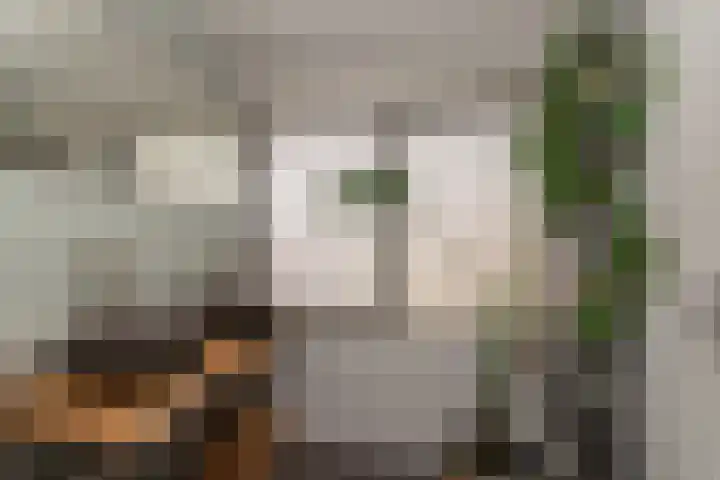 Hekelingenstraat 32 Zoetermeer thumbnail 15