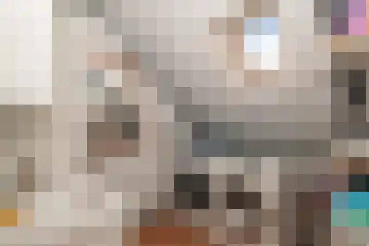 Hekelingenstraat 32 Zoetermeer thumbnail 24
