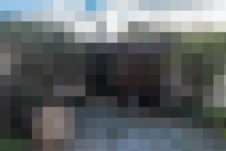Hekelingenstraat 32 Zoetermeer thumbnail 25