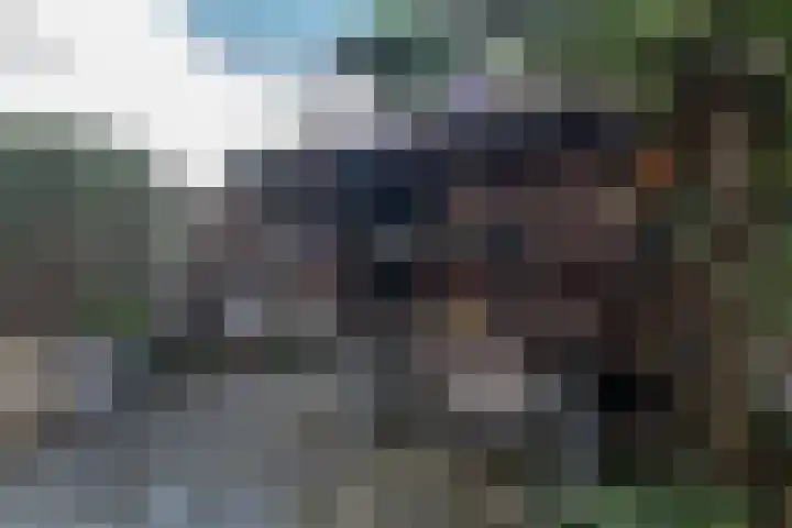 Hekelingenstraat 32 Zoetermeer thumbnail 26