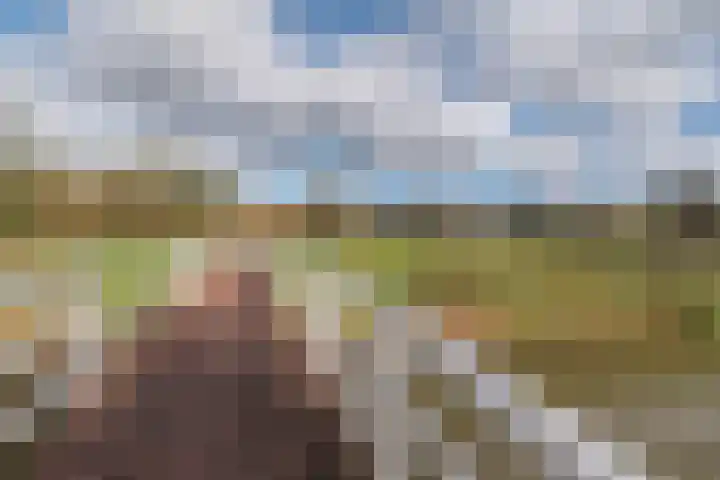 Hekelingenstraat 32 Zoetermeer thumbnail 35