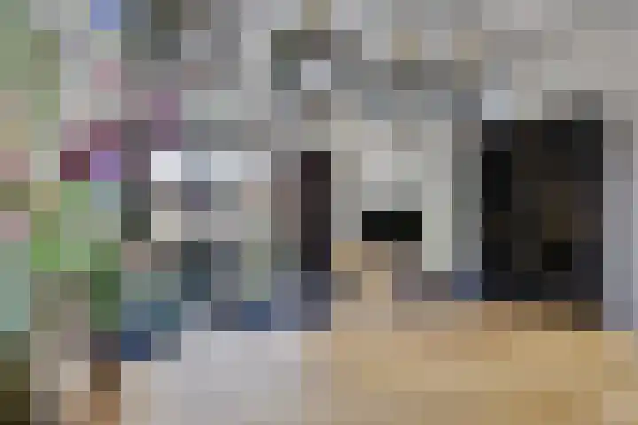 Hekellaan 25 Schaijk thumbnail 11