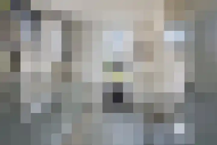 Hekellaan 25 Schaijk thumbnail 13