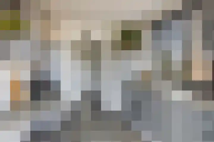 Hekellaan 25 Schaijk thumbnail 14
