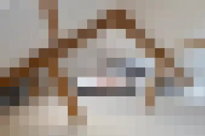 Hekellaan 25 Schaijk thumbnail 27