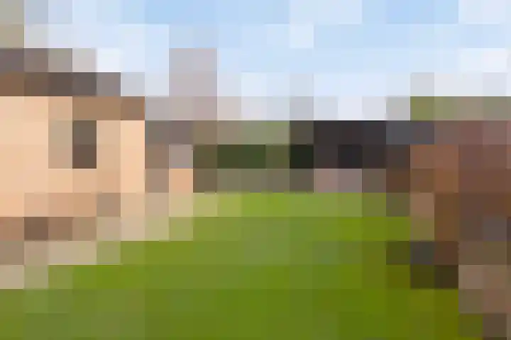 Hekellaan 25 Schaijk thumbnail 32