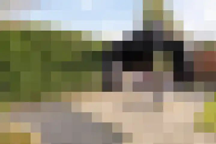 Hekellaan 25 Schaijk thumbnail 36