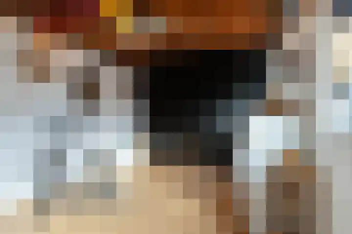 Hekellaan 25 Schaijk thumbnail 38