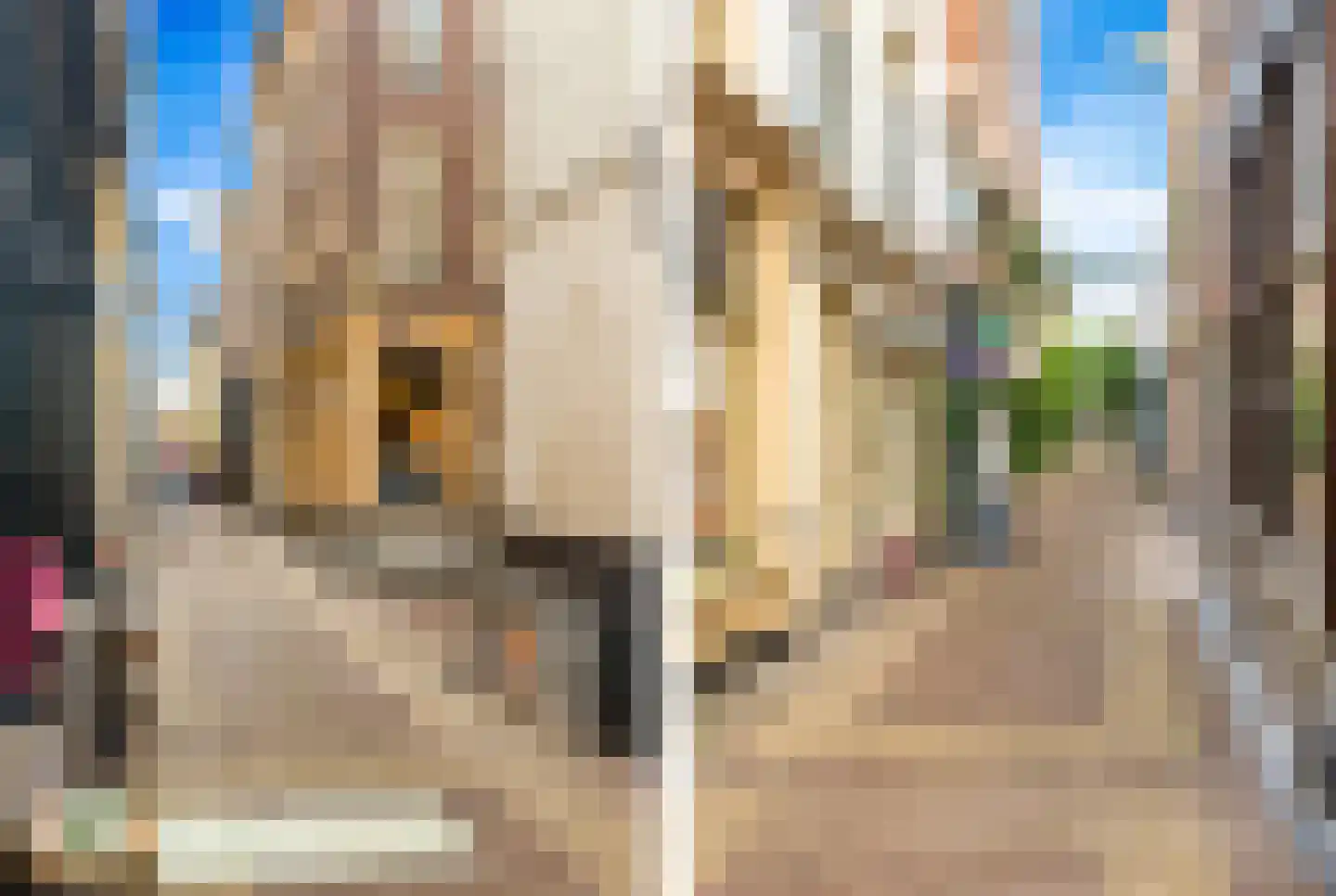 Hekelstraat 1 A Alkmaar thumbnail 30