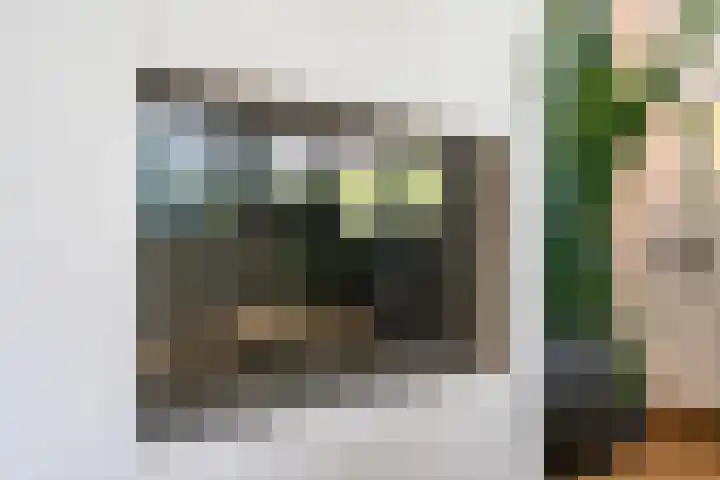 Hekelstraat 11 Mierlo thumbnail 11