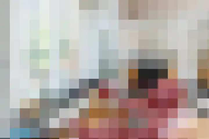 Hekelstraat 11 Mierlo thumbnail 19