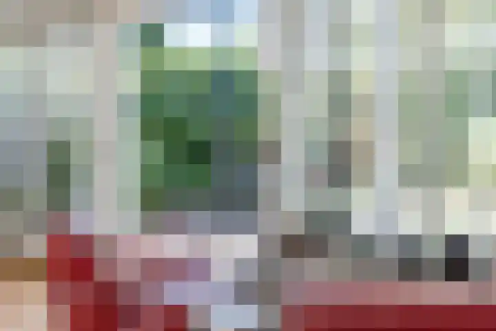 Hekelstraat 11 Mierlo thumbnail 20