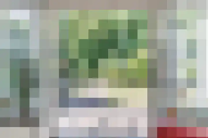 Hekelstraat 11 Mierlo thumbnail 22