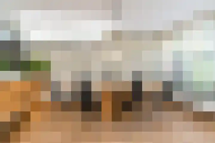Hekelstraat 11 Mierlo thumbnail 23