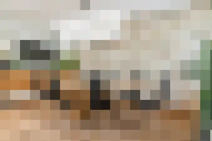 Hekelstraat 11 Mierlo thumbnail 24