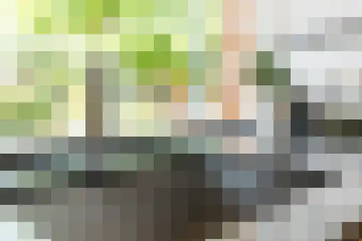Hekelstraat 11 Mierlo thumbnail 30