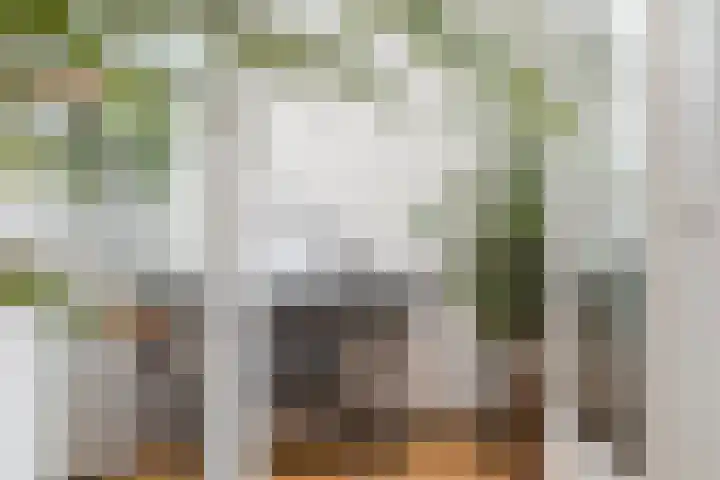 Hekelstraat 11 Mierlo thumbnail 32