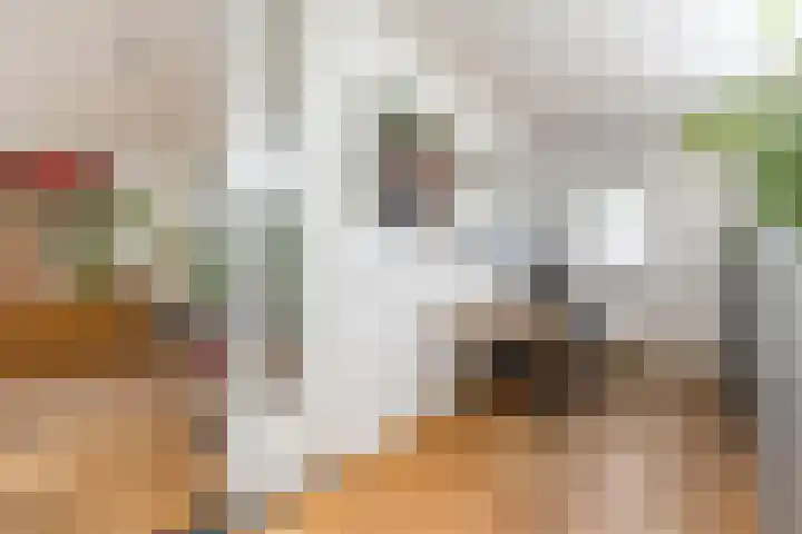 Hekelstraat 11 Mierlo thumbnail 33