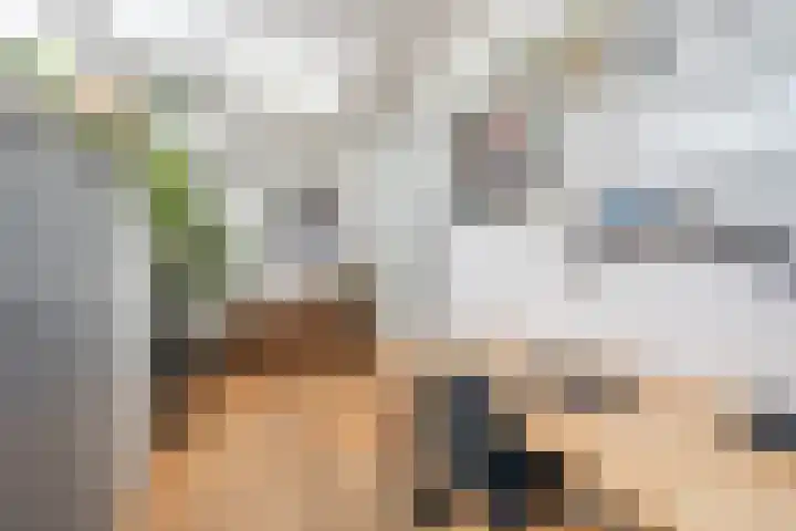 Hekelstraat 11 Mierlo thumbnail 34