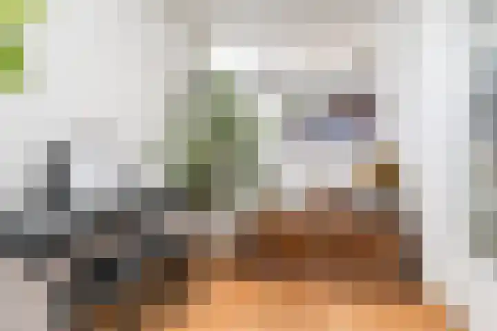 Hekelstraat 11 Mierlo thumbnail 35