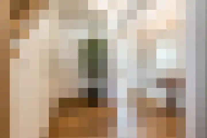Hekelstraat 11 Mierlo thumbnail 36