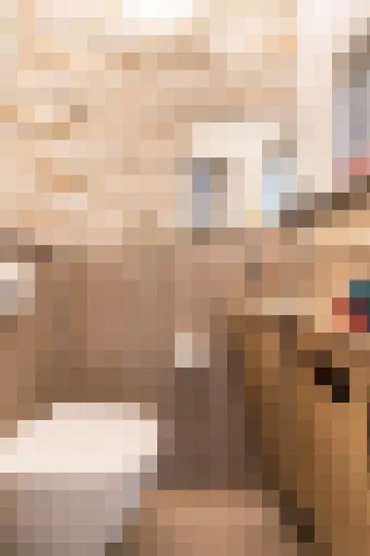 Hekelstraat 11 Mierlo thumbnail 39