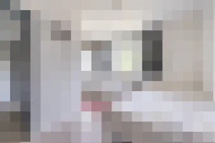 Hekelstraat 11 Mierlo thumbnail 42