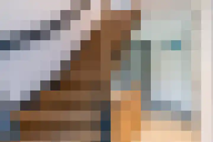 Hekelstraat 11 Mierlo thumbnail 56