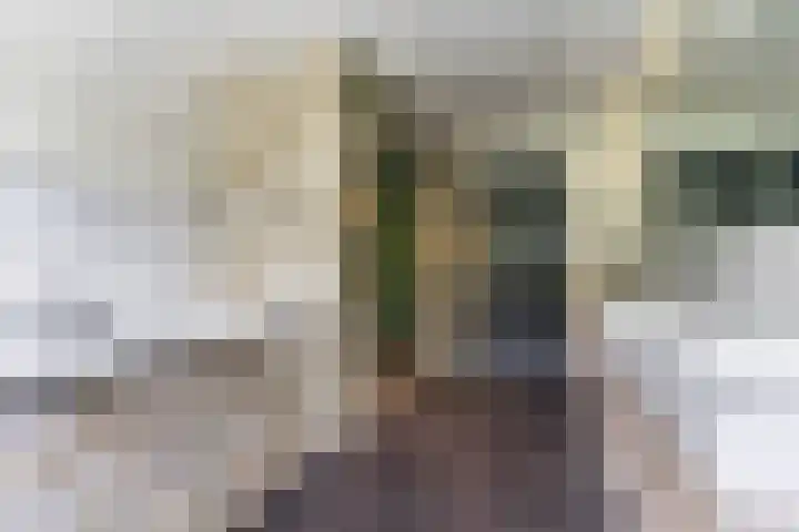 Hekelstraat 11 Mierlo thumbnail 60