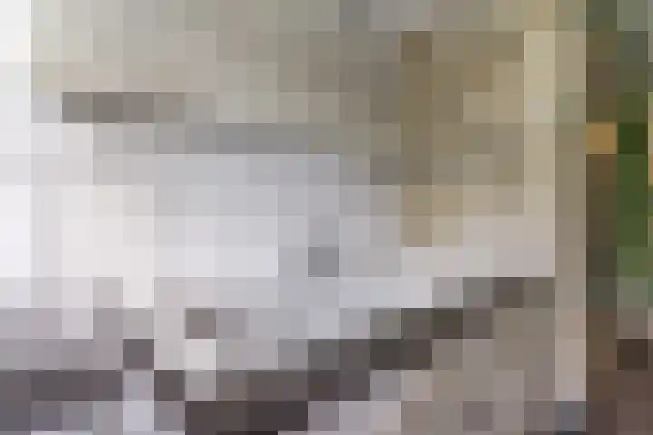 Hekelstraat 11 Mierlo thumbnail 61